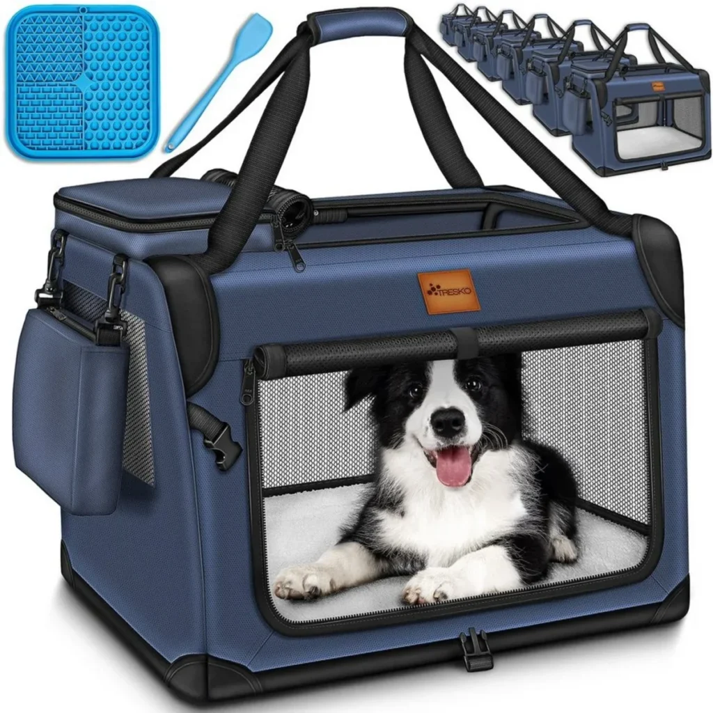 Como usar uma caixa de transporte no treinamento diário do seu cão | João Cachorro