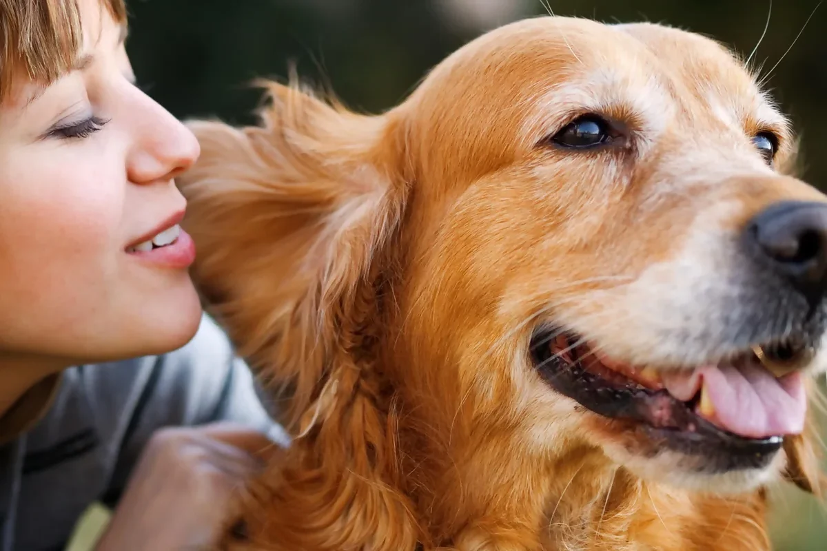 uma relação equilibrada de confiança e respeito com os cães | João Cachorro