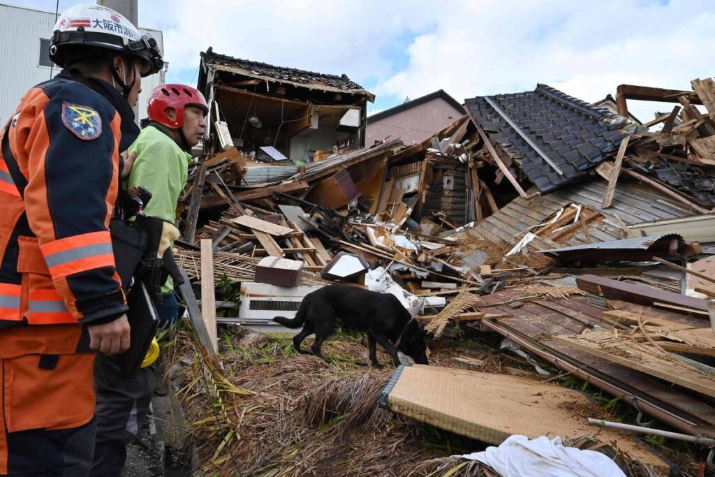 a cadela de resgate que encontrou uma sobrevivente do terremoto no Japão