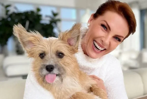 Como os cães da Ana Hickmann a defenderam de um ataque violento