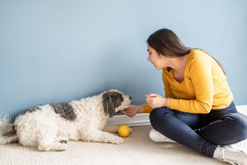 Adestramento Positivo em Casa: O Método Caramelo para Cães