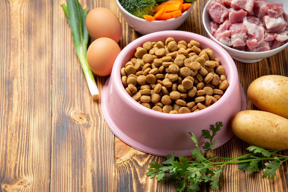 Alimentação Natural vs Ração: O Grande Debate Nutricional para Cães