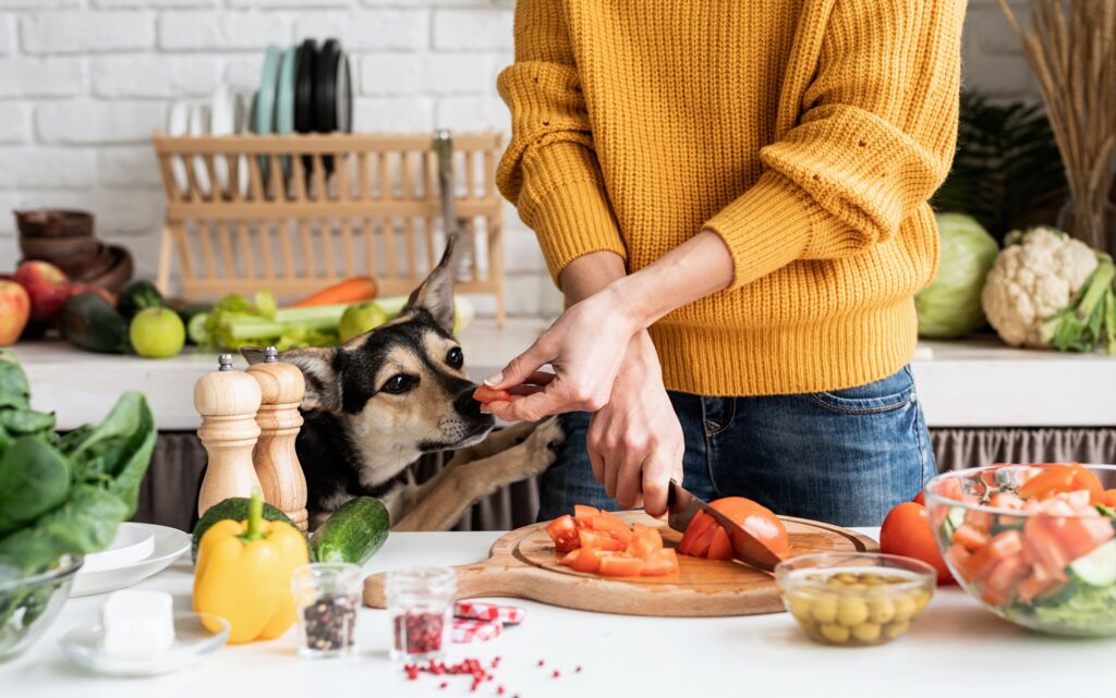 Alimentação Natural para Cães: Vale a Pena ou é Perigoso?
