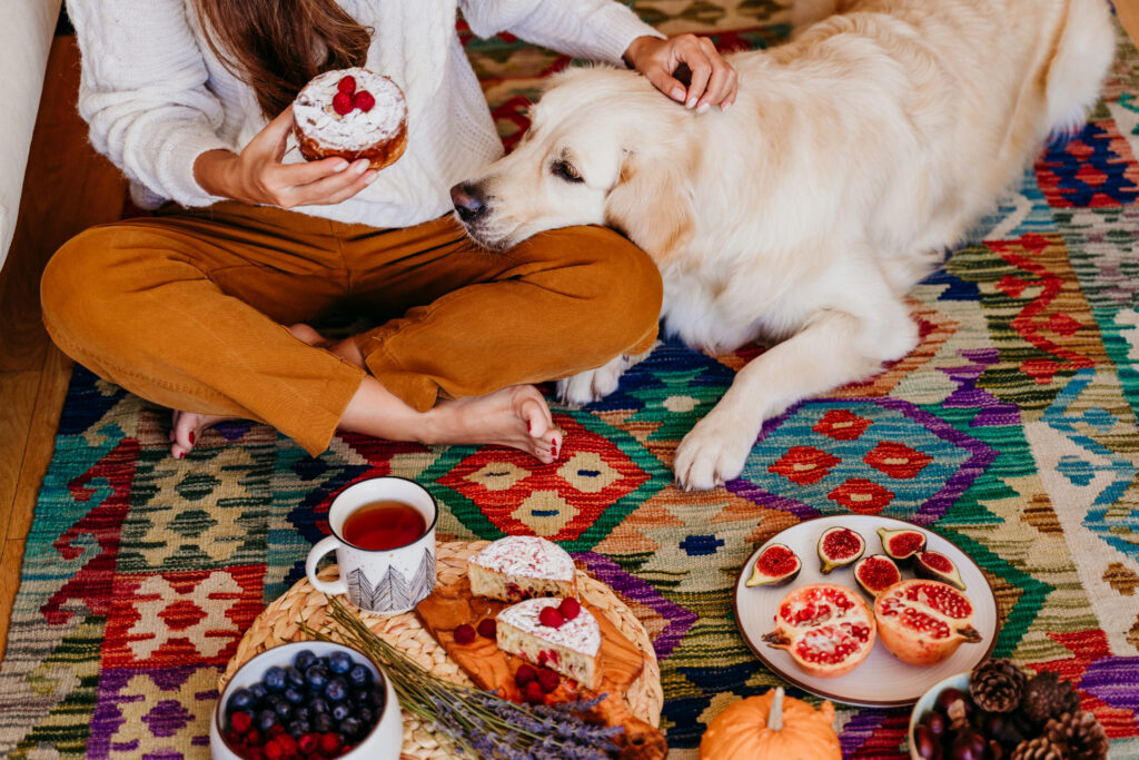 Alimentação Natural para Cães: Vale a Pena ou é Perigoso?