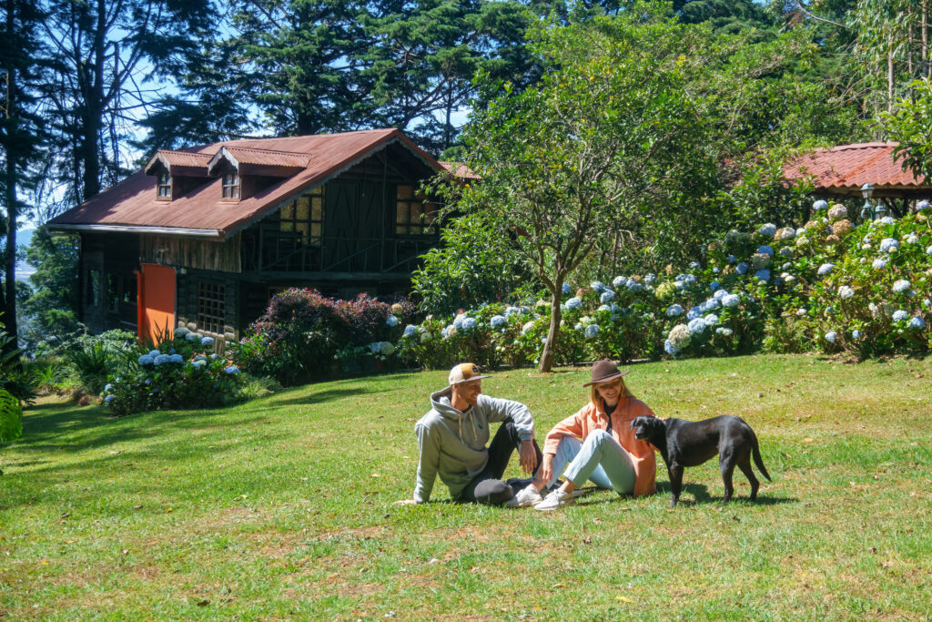 campos do jordao Pet Friendly: 10 Lugares Incríveis para Viajar com seu Cachorro no Brasil