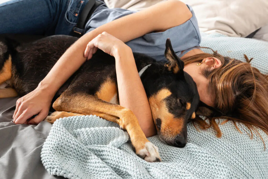 O que significa sonhar com cachorro: Introdução ao Mundo dos Sonhos Caninos