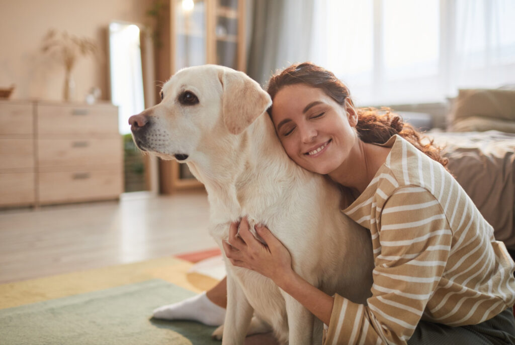 Labrador Retrieve - As 6 raças de cachorros mais dóceis: O Que Realmente Define a Docilidade?